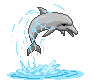 illustration de dauphin qui saute