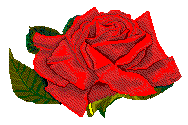 clipart rose rouge