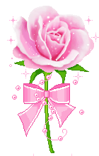 Une rose rose avec un noeunoeu