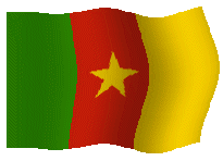 Gifs drapeau Cameroun