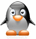 image pinguin
