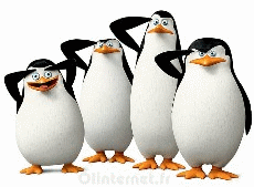pingouin-madagascar