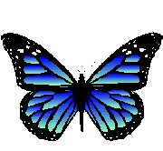 Gifs papillon bleu avec du noir