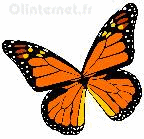 image papillon monarque