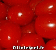 image tomate rouge