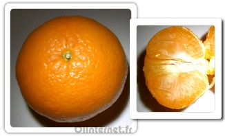 fruit mandarine