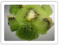 Tortue Kiwi