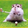 hamster drole