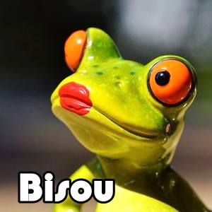 image bisou grnouille