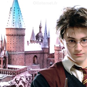 harry potter jeu video