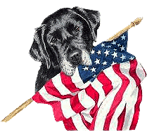 Chien avec le drapeau americian