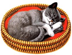 illustration chat qui dort dans un panier rond