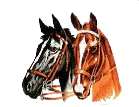 clipart tete de cheval