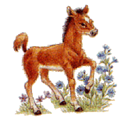 clipart poney dans les herbes