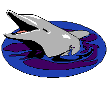 clipart dauphin qui sort de l'eau