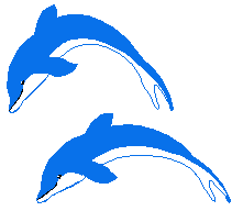 Deux dauphins qui sautent