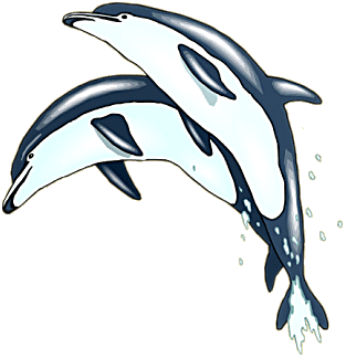 image clipart dauphin