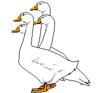 Clipart canard