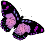 image clipart papillon