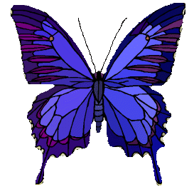 Image papillon symbole