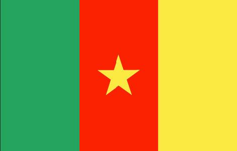 Drapeau Cameroun