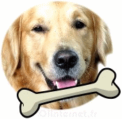 gif chien avec un os