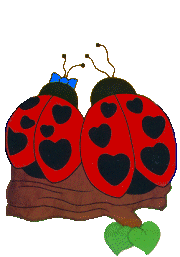 Gifs coccinelle amoureuse