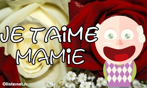 Je t aime mamie adore