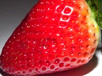 Image grosse fraise rouge