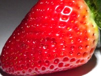 image fraise