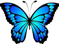 Papillon bleu qui vole