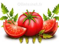 Photo de tomate