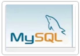 image Mysql