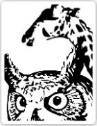 image hibou et girafe